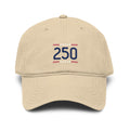 250 - Limited Edition Vintage Garment-Washed Cap